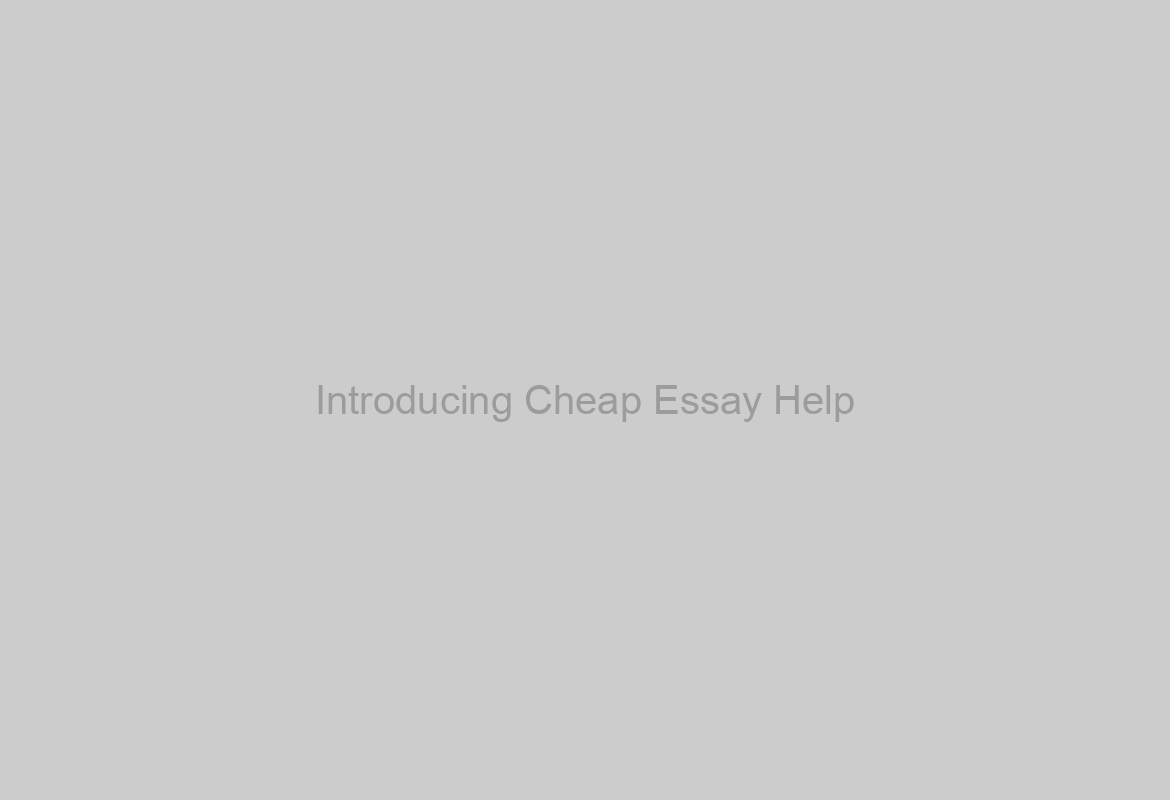 Introducing Cheap Essay Help